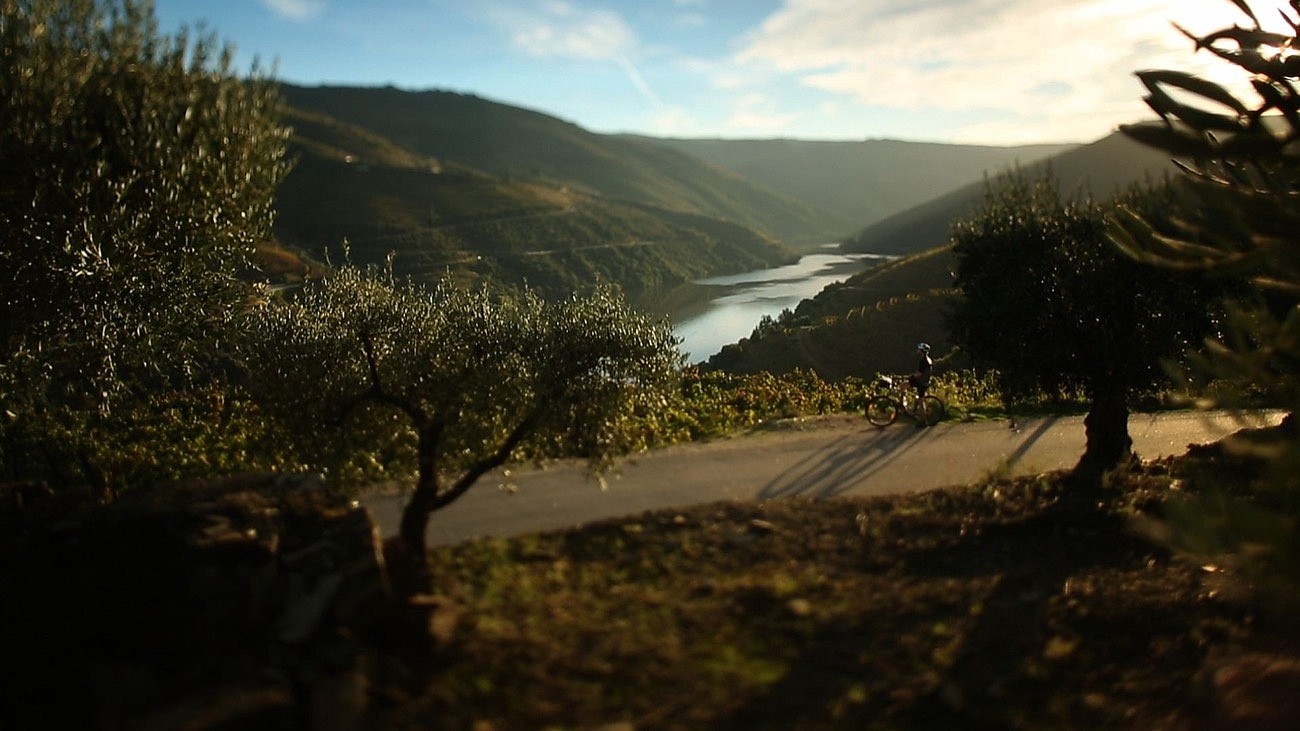 Scenic cycling in Douro Valley