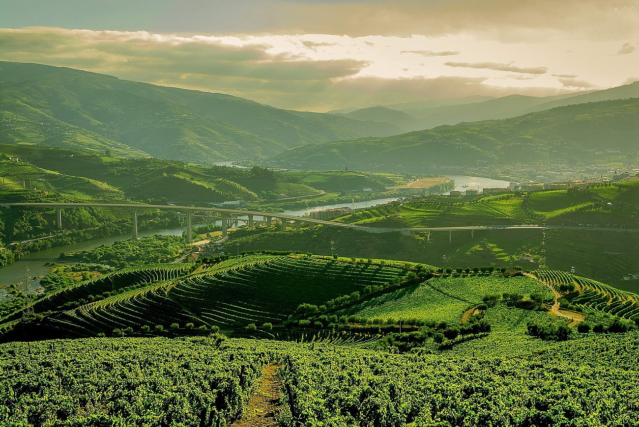 Majestic Douro Walking Tour