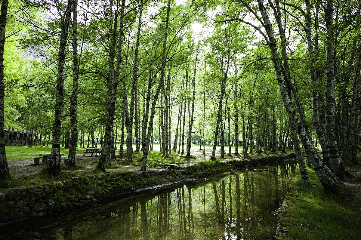 Rivers and mountains: family vacations in Portugal