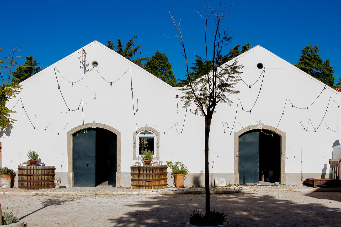 Património Gastronómico em Lisboa e Arredores com “The Art of Tasting Portugal”