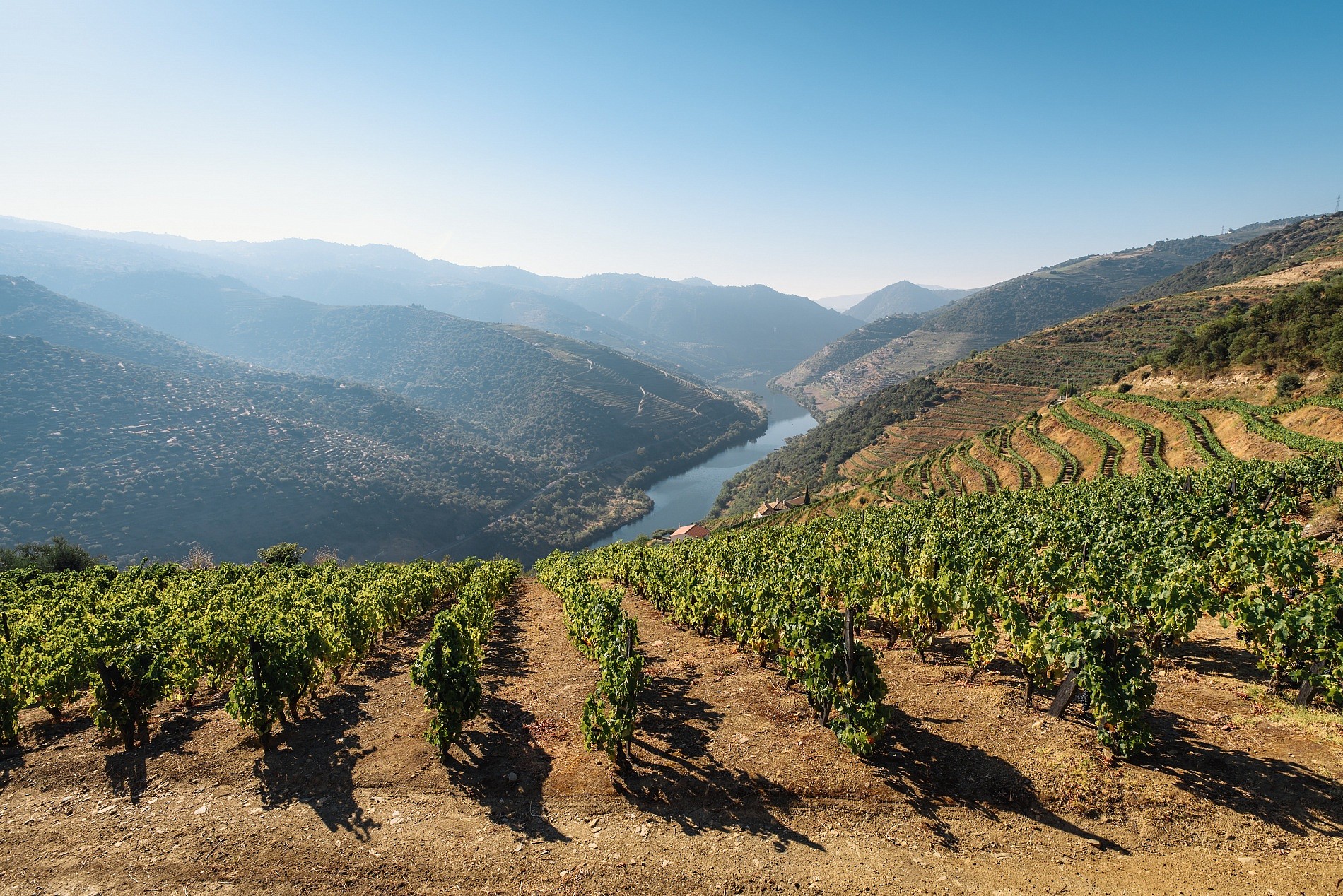 Caminhada no Vale do Douro Vinhateiro 