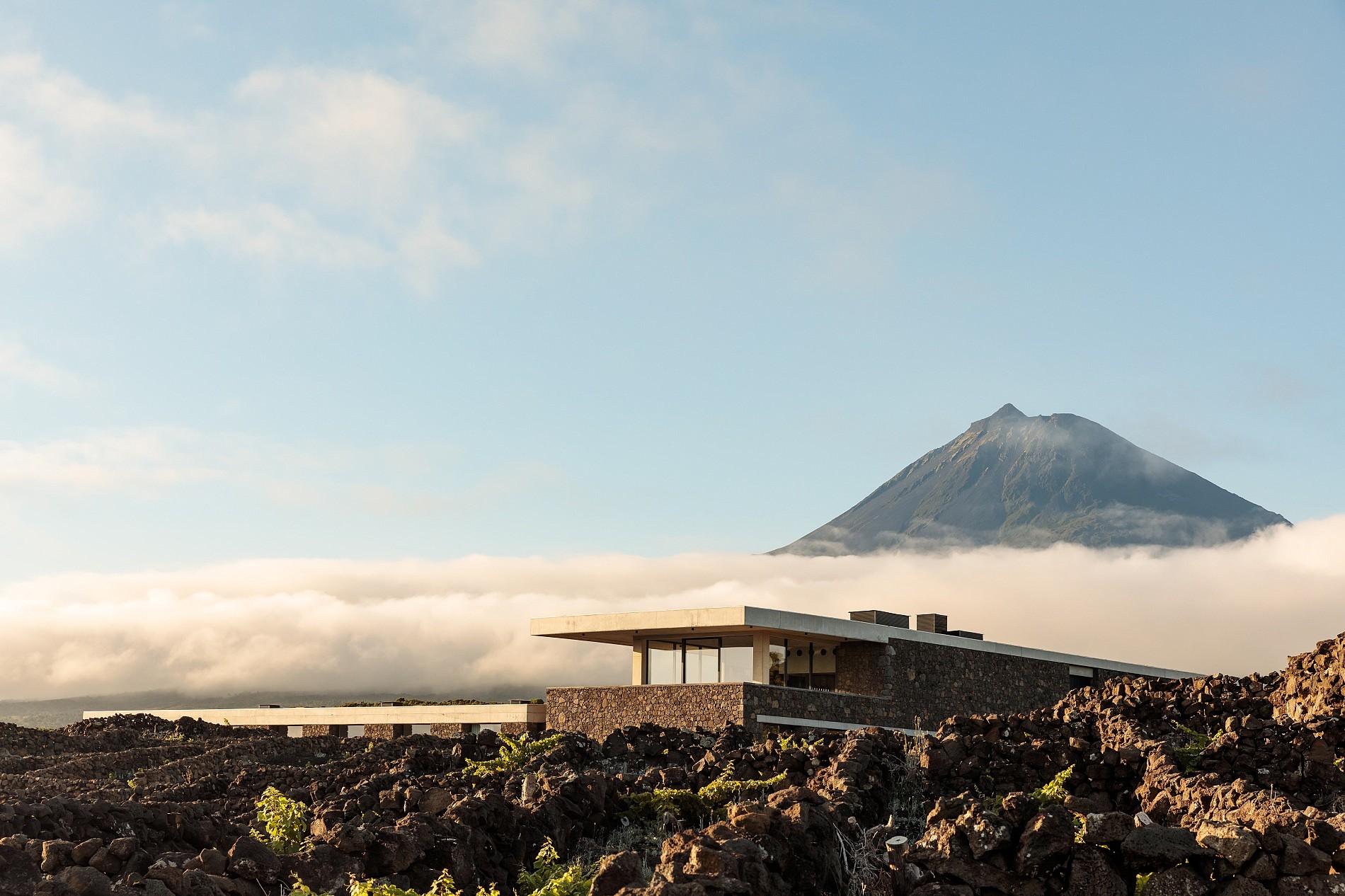 Retiro de SUP Yoga, Subida ao Pico & Vinhos na Ilha do Pico nos Açores