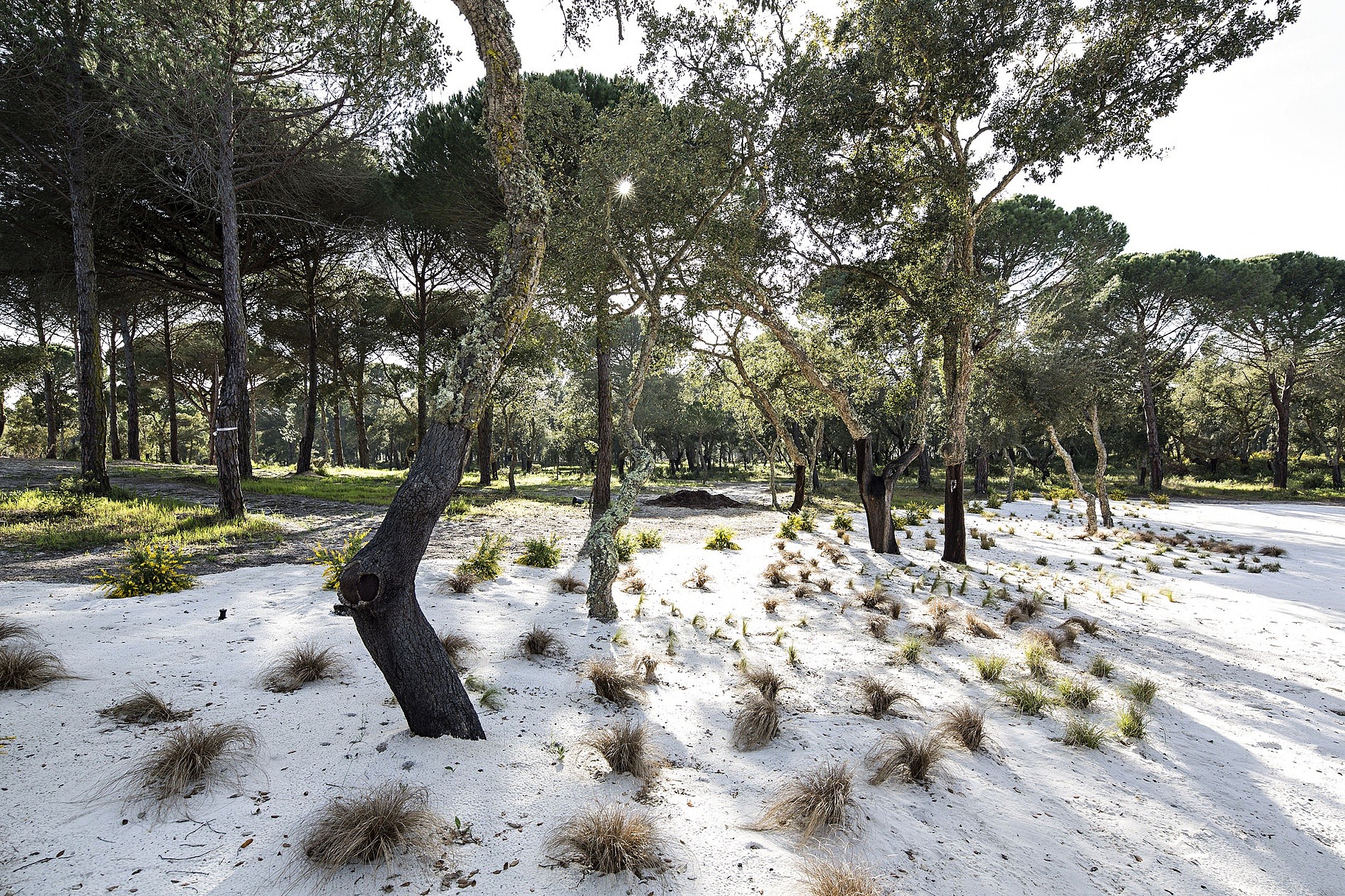 Estradas mais bonitas no Alentejo
