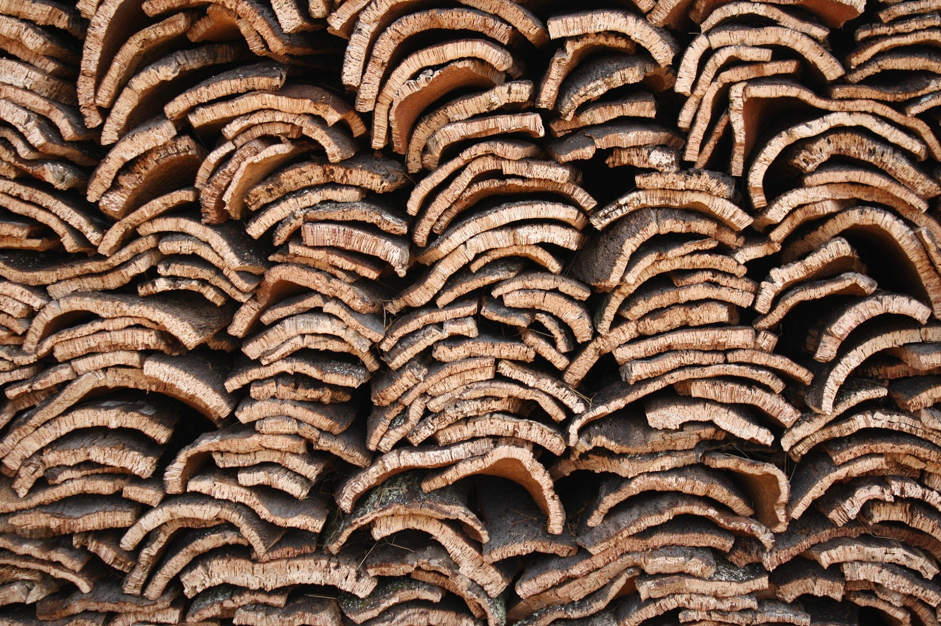 Workshop de Cortiça & Escapadinha de Enoturismo no Alentejo