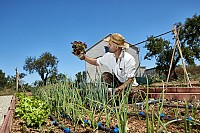 4 dias de Retiro de Yoga e Gastronomia "not so serious" – Tavira, Off-the-Beaten Algarve