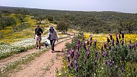 Caminhada e Gastronomia no Alentejo
