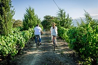 Tour Vínico por Portugal em 9 dias