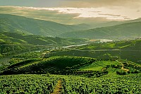 O Vale do Douro Tour de Caminhada