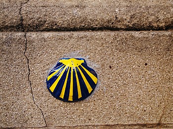 Pontevedra
