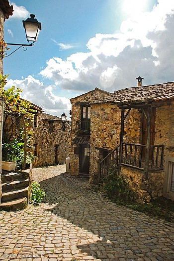 Vale do Ninho Nature Houses