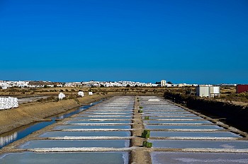 Sal Marinho do Algarve