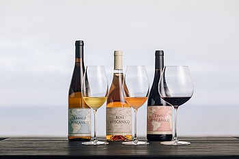 Azores Wine Company