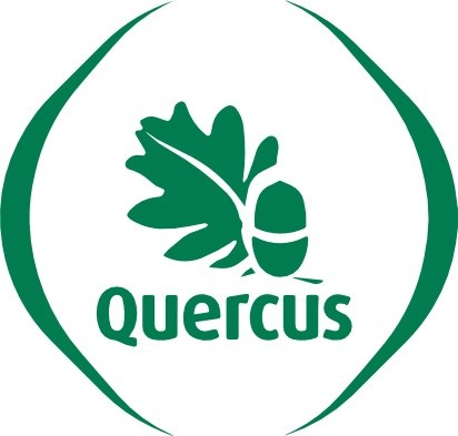 Quercus