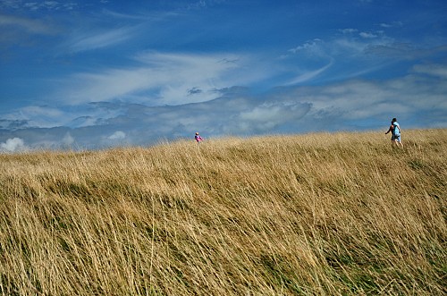 Family Adventure in Alentejo