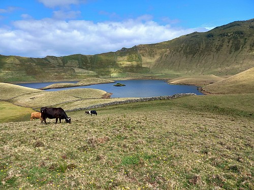 4 Day "not so serious" Yoga & Walk Retreat - Azores