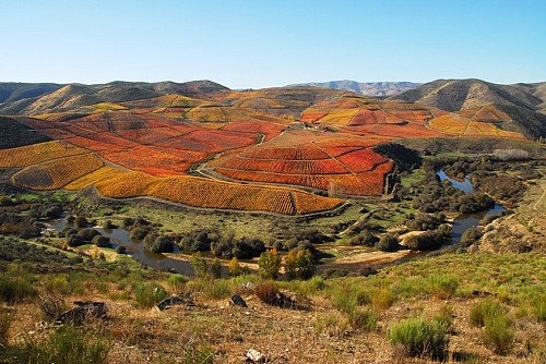 Uma corrida no Vale do Douro