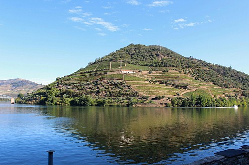 Douro Valley Off-the-Beaten Guided Walk & Wine Tour