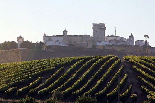 The wonders of the inland Alentejo Bike Tour