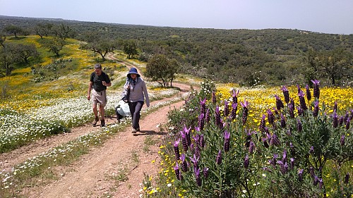 Hike & Cook in Alentejo
