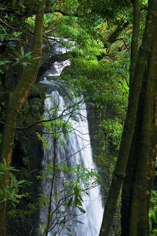 Azores Walk Tour