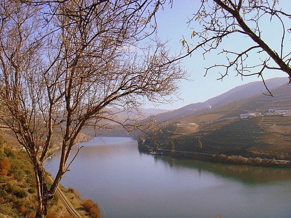Tour de Natureza e Vinhos - Porto e Norte