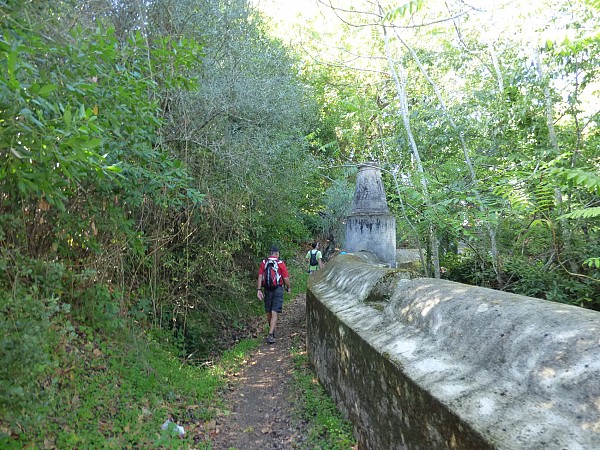 Hike & Cook in Alentejo