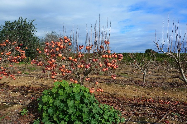 O Algarve secreto