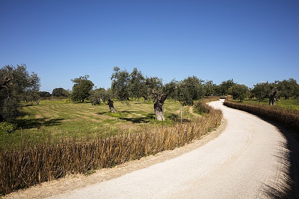 Route 66 Portuguesa | Rota Nacional 2
