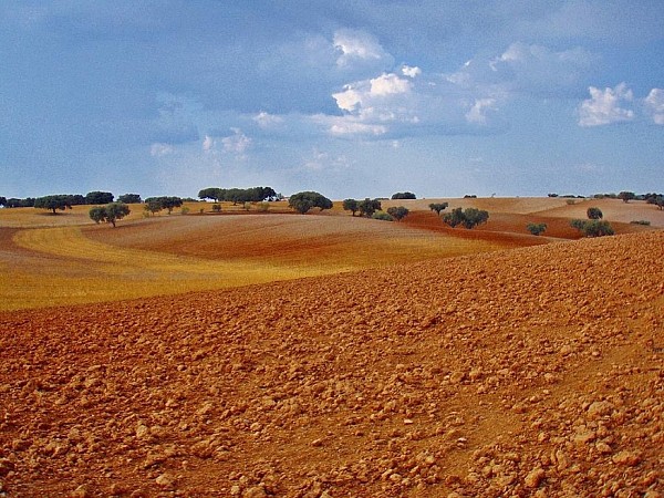 The wonders of the inland Alentejo Bike Tour