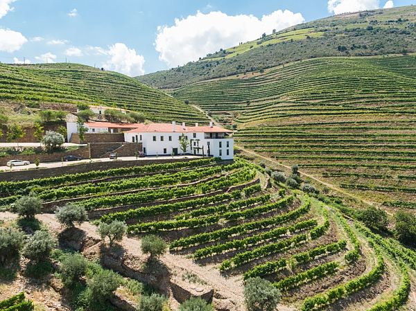 Descubra a gastronomia portuguesa de Norte a Sul com “The Art of Tasting Portugal”