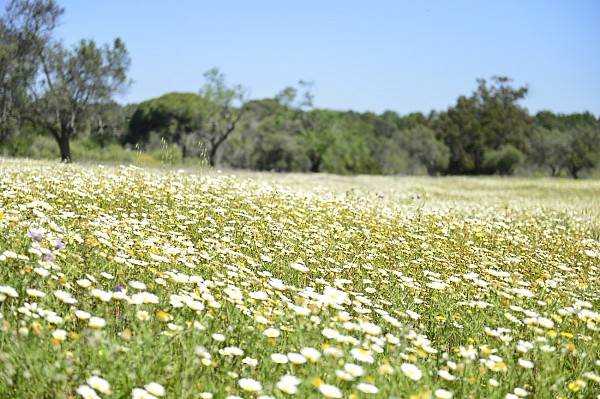Off the beaten track Algarve Walk Tour