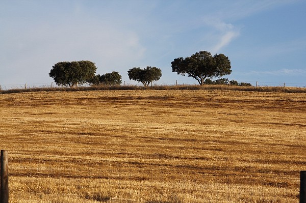 The wonders of the inland Alentejo Bike Tour