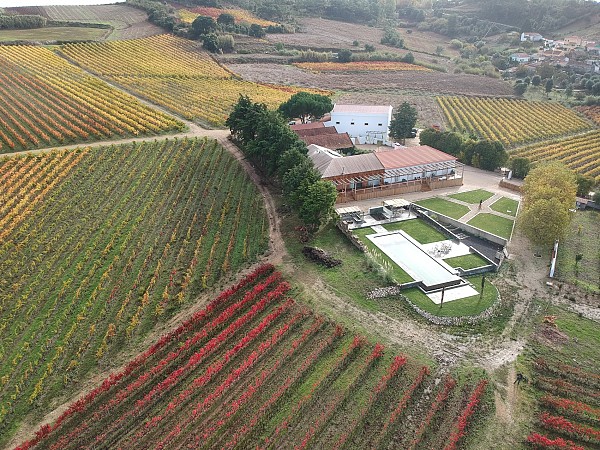 Património Gastronómico em Lisboa e Arredores com “The Art of Tasting Portugal”