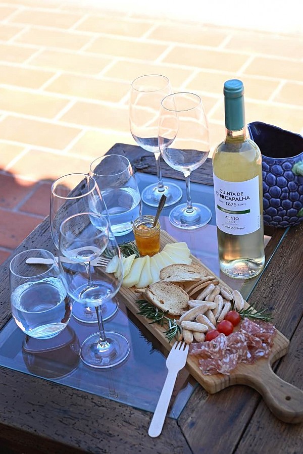 Lisbon Family Vineyards Wine Experience