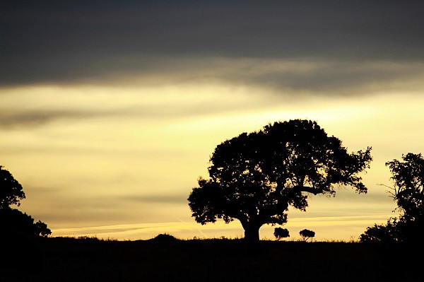 The wonders of the inland Alentejo Bike Tour