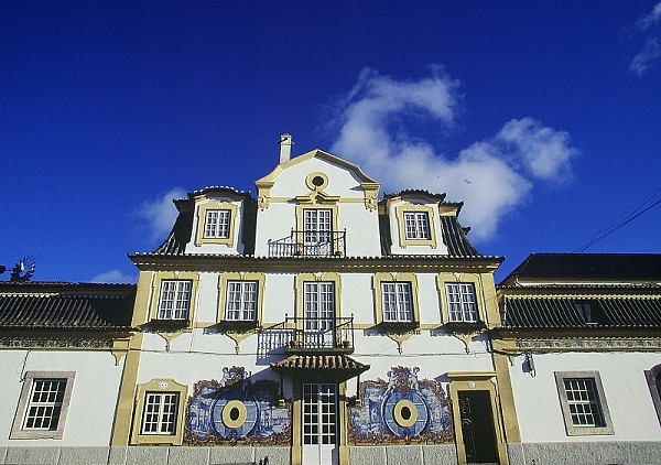  The charms of coastal Setúbal and its wine Day Tour