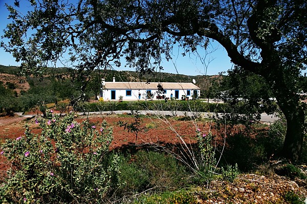 Herdade da Corte