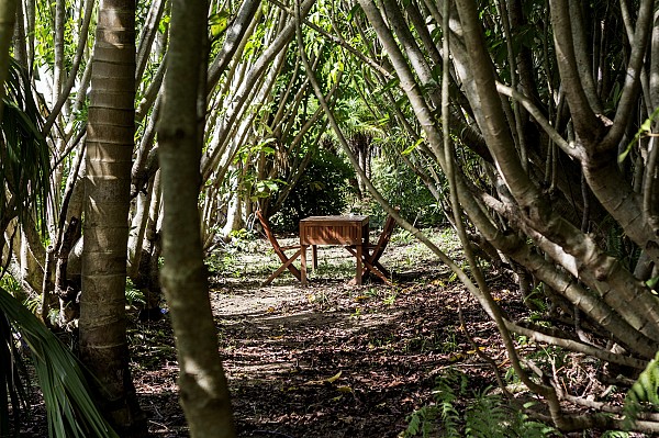 Azul Singular Glamping Experience