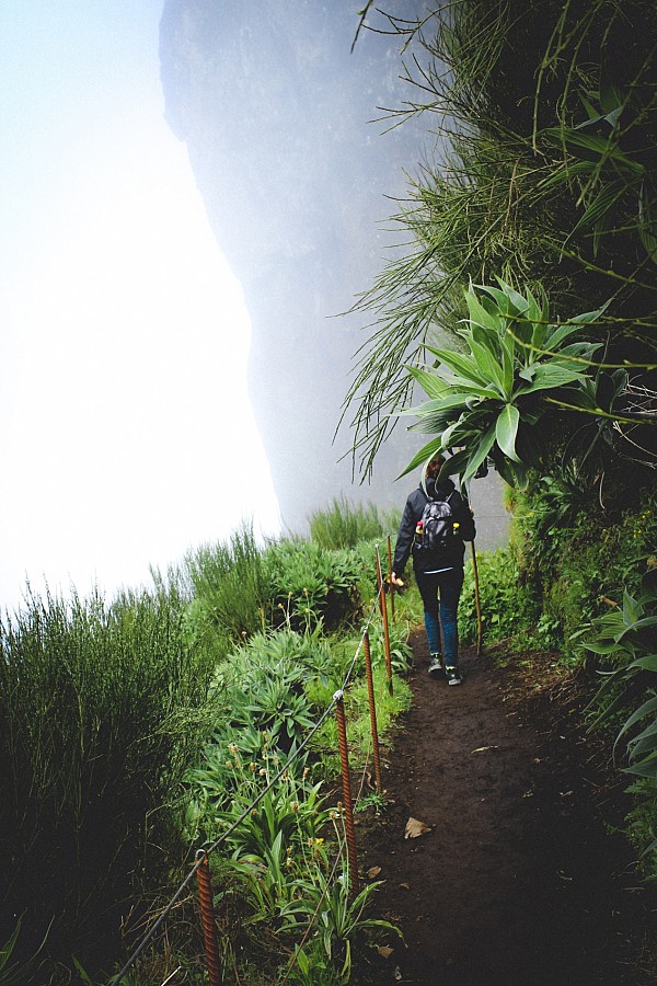 Nature & Food Lovers Madeira