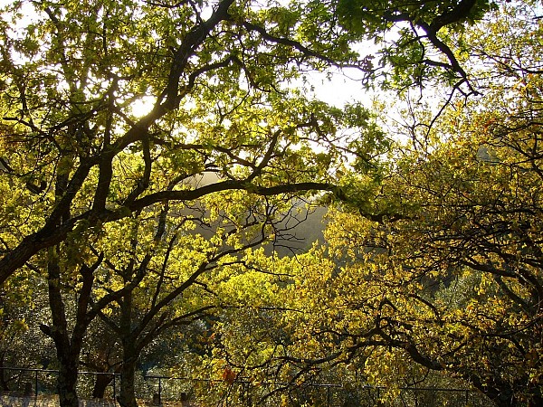 Centro de Portugal