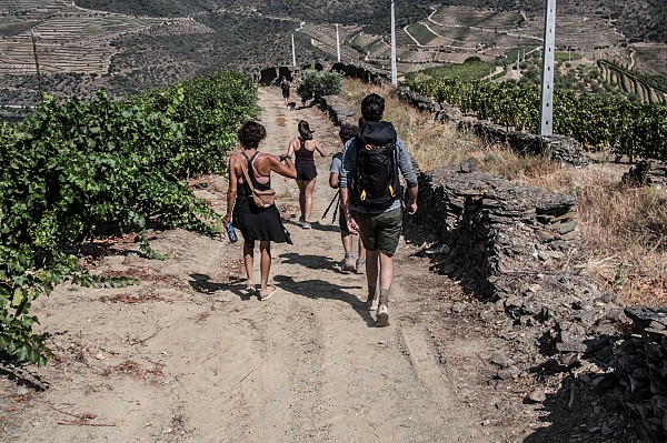 Off-the-Beaten Vale do Douro - Tour de Caminhadas e Vinho