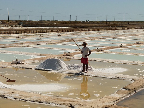 Food Lovers in Algarve