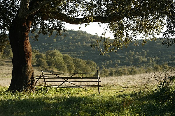 Estradas mais bonitas no Alentejo