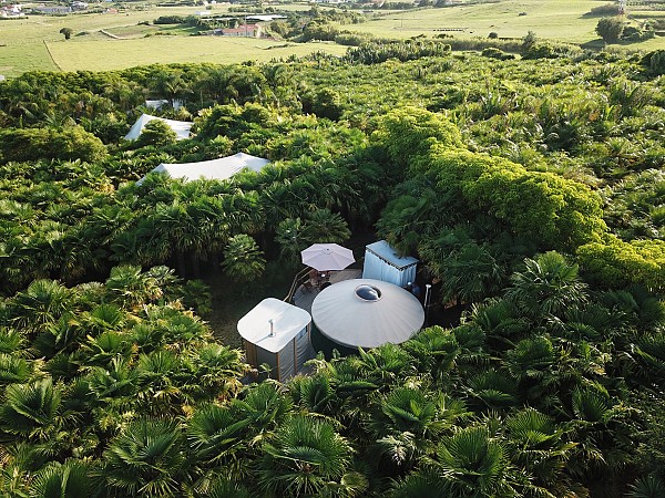 Vinhos, Vulcões e Baleias - O triângulo dos Açores