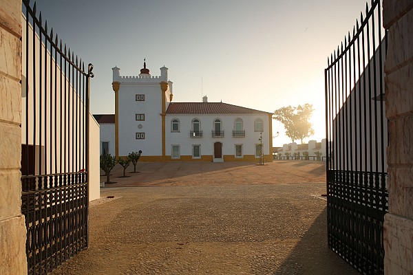 Heritage Food tour in Lisbon, Alentejo & Algarve with “The Art of Tasting Portugal”