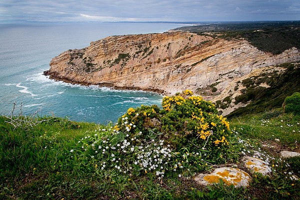  The charms of coastal Setúbal and its wine Day Tour