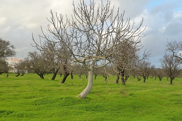 Off the beaten track Algarve Walk Tour