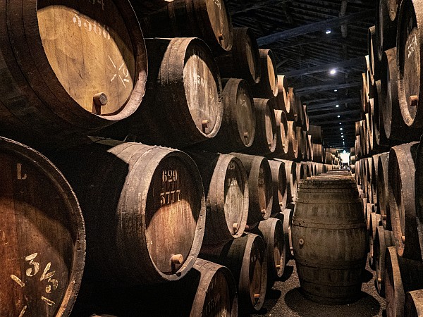 Douro Panoramic Tour with Boat Trip & Wine Tasting