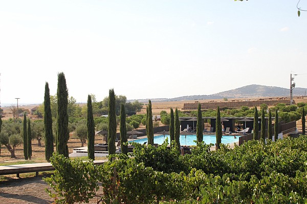 Food & Wine Tour in Alentejo Wine Land