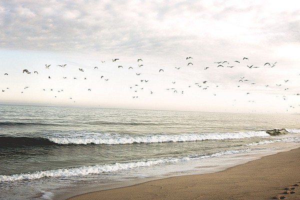 4 Day not so serious Yoga, Surf & SUP Retreat – Santa Cruz Beach, near Lisbon